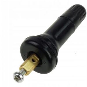 Citroen C4 2008-2010 Wheel Valve Assembly