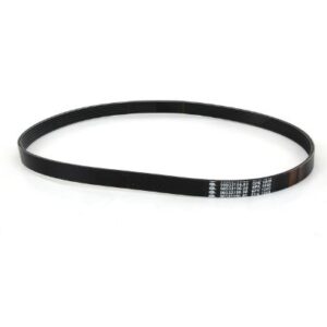 Citroen C3 2002-2005 Auxiliary Belt