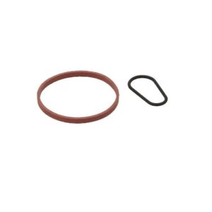 Citroen C4 2018-2020 Vacuum Pump Gasket