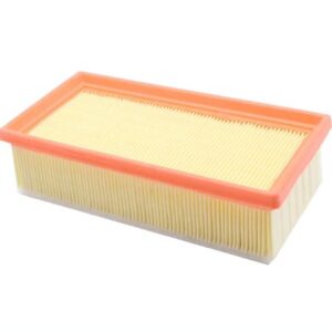 Citroen C3 2009-2013 Air Filter