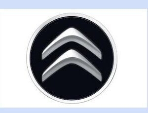 Citroen C3 2009-2013 Centre Cap Black