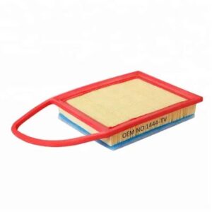 Citroen C3 2009-2013 Air Filter