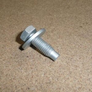 Citroen C4 2008-2010 Screw with Washer