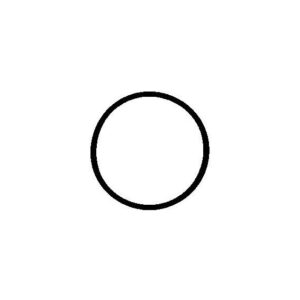 Citroen Dispatch 1994-2006 Intake O-Ring Seal