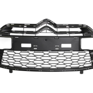 Citroen DS3 2010-2019 Front Grille