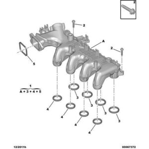 Citroen C4 2008-2010 Diesel Air Distributor Seal