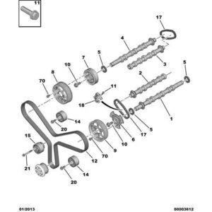 Citroen C6 2005-2012 Diesel Timing Belt