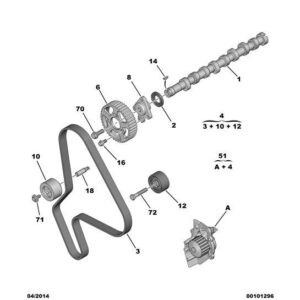 Citroen Dispatch 1994-2006 Diesel Distribution Motor Kit