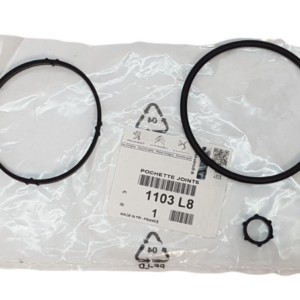 Citroen C3 2009-2013 Oil Filter Seal Pocket