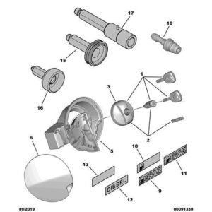 Citroen DS3 2010-2022 Petrol Fuel Label
