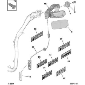 Citroen Berlingo 2008-2012 Petrol Tank Filler Housing