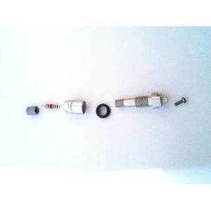 Citroen DS4 2010-2021 Screw-In Valve Without Transmitter