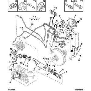 Citroen C5 2001-2004 Diesel Electro Valve