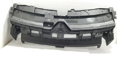 1632645980 Citroen C4 Catcus 2018-2020 Grille Support