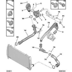 Citroen C6 2005-2012 Diesel Intake Valve Seal Piece