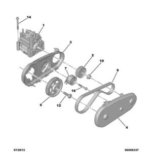 Citroen C6 2005-2012 Diesel Injection Pump Toothed Belt