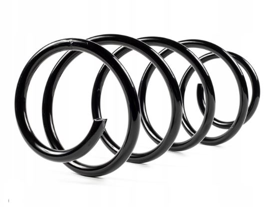 Citroen C4 2018-2020 Rear Spring (1)