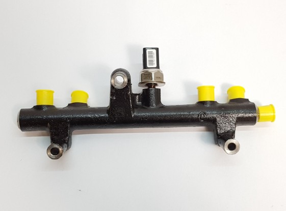 Citroen DS5 2011-2021 Injectors Supply Rail