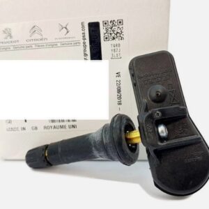 DS4 2010-2022 Tyre Pressure Valve