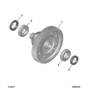 Citroen DS5 2011-2021 Petrol Differential Bearing