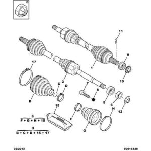 Citroen Xsara 2000-2004 Petrol Drive-Shaft New