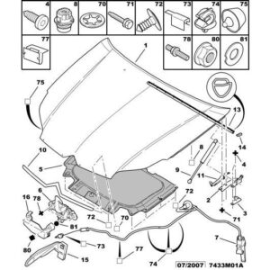 Citroen C5 2004-2008 Diesel Bonnet Hinge