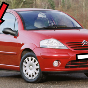 Citroen C3 2010-2019 Rear Door Window Lower Outside Seal