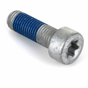 Citroen C3 2009-2013 Petrol Brake Caliper Fixing Screw