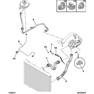 Citroen Berlingo 2015-2018 Diesel Radiator Water Inlet Hose