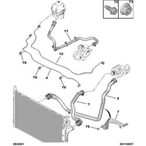 Citroen C5 Air Cross 2018-2021 Diesel Radiator Outlet Hose