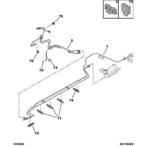 Citroen Berlingo 2018-2021 Petrol Dual Fuel Line