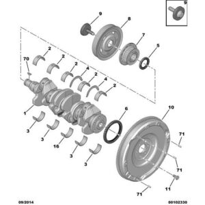 Citroen C3 2015-2021 Diesel Engine Timing Pinion