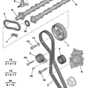 Citroen Dispatch Diesel Cambelt and Water pump Kit