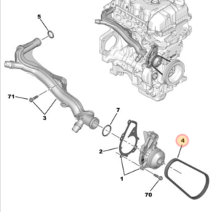 Citroen C4 Cactus Water pump Belt 